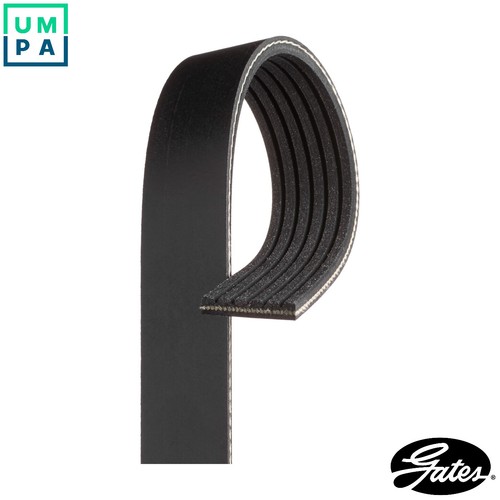 Vribbed belt 6pk1323est for - 6pk1323est,