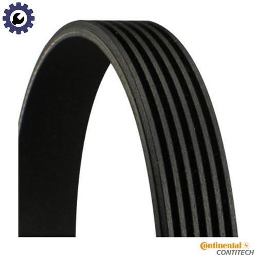 Vribbed belt 6pk1324 extra for - belt,