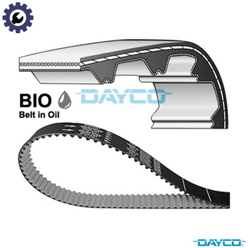 Timing belt 941136 - 941136, for