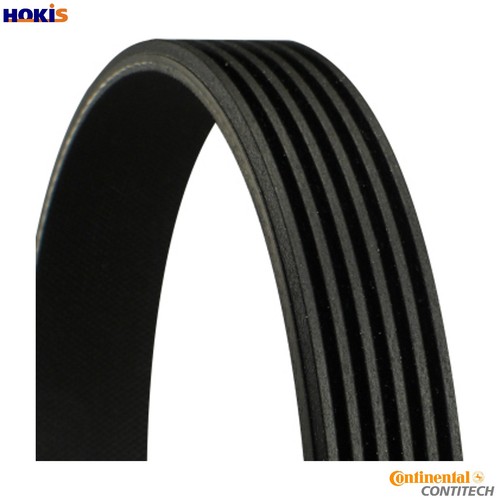 Vribbed belt 6pk873 - 6pk873, for