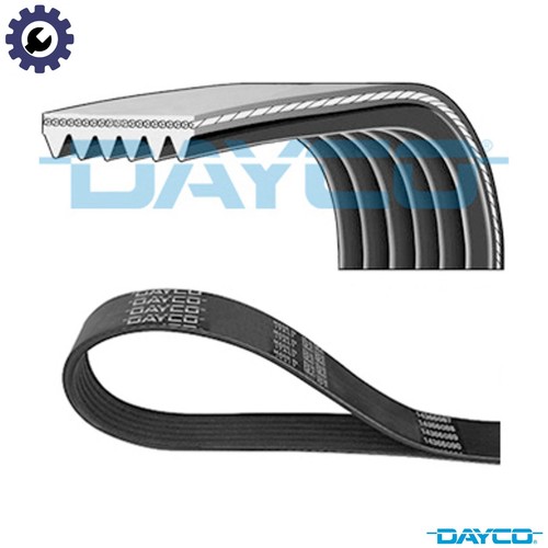 Vribbed belt 6pk1324h - belt,