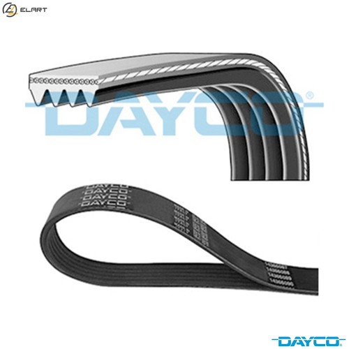 Vribbed belt 4pk922ee - vribbed, for