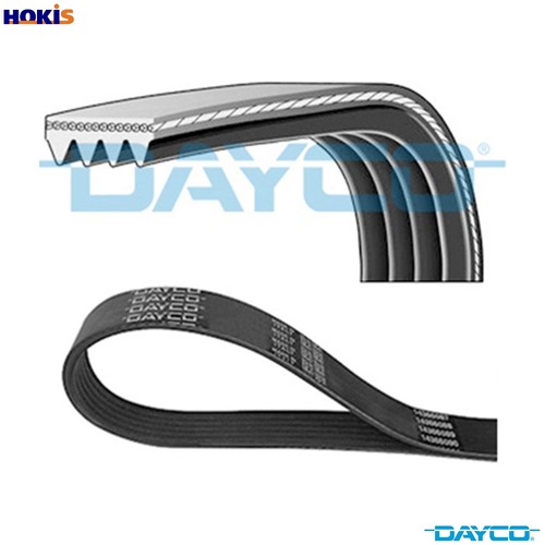 Vribbed belt 4pk922ee for - vribbed, ford
