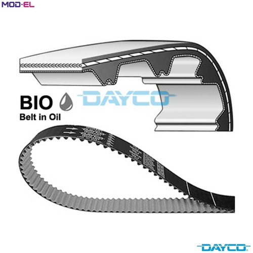 Timing belt 941136 - timing, for