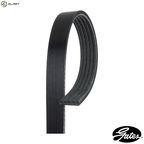 Vribbed belt 5pk761sf - vribbed, ford
