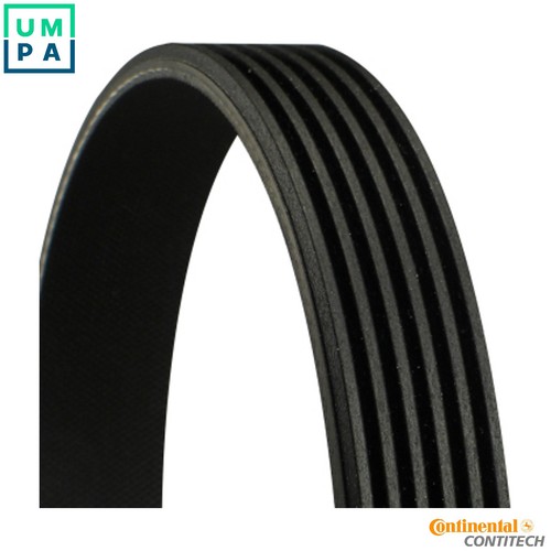 Vribbed belt 6pk1324 - extra, for