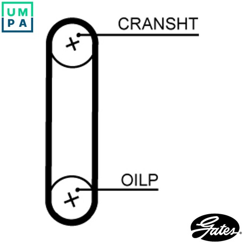 Timing belt t364hob for - timing, ford