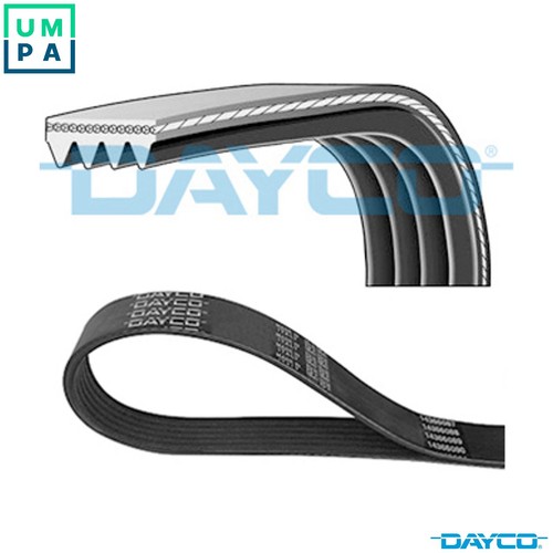 Vribbed belt 4pk922ee - belt, ford